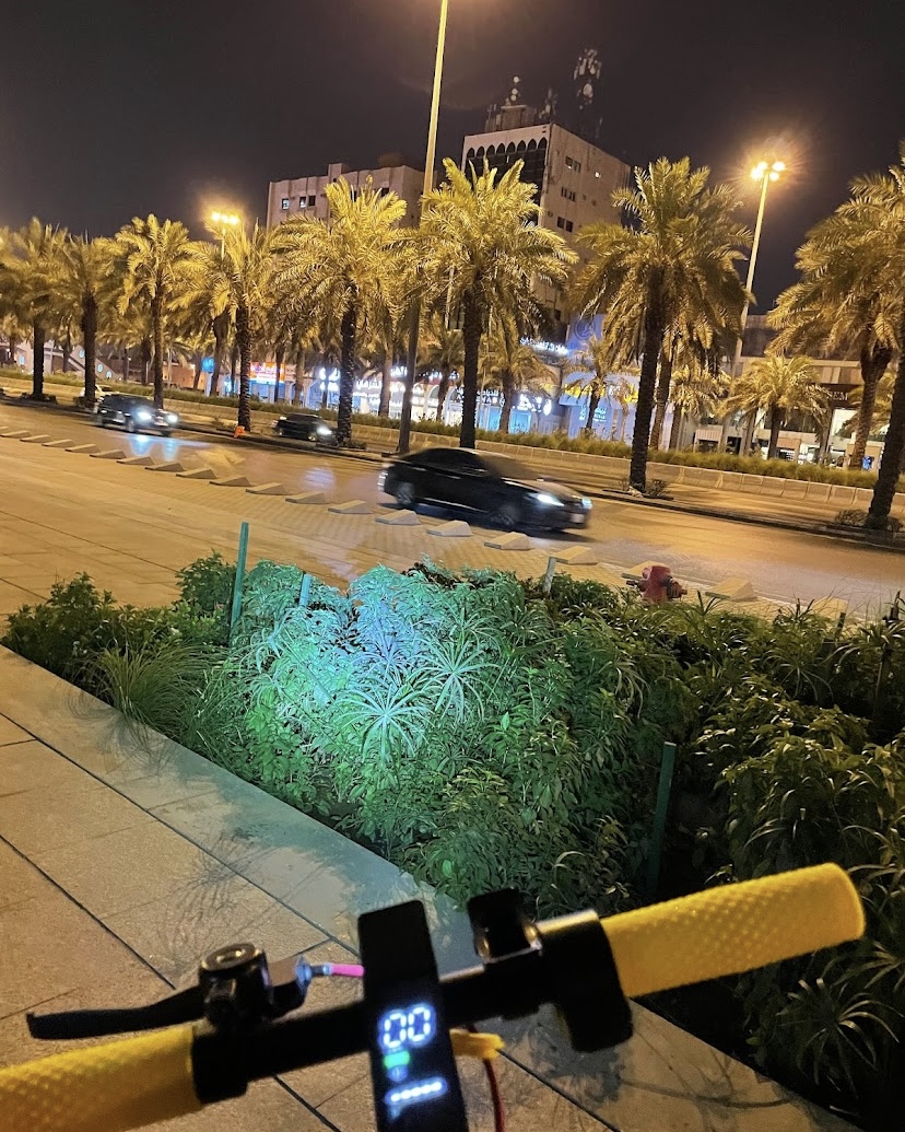 حديقة مكتبة الملك فهد gallery