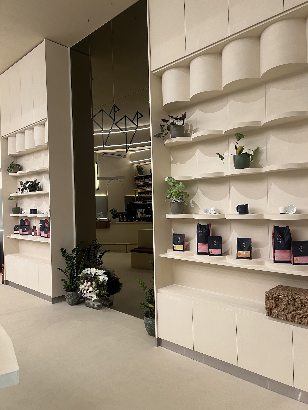 فولاري gallery