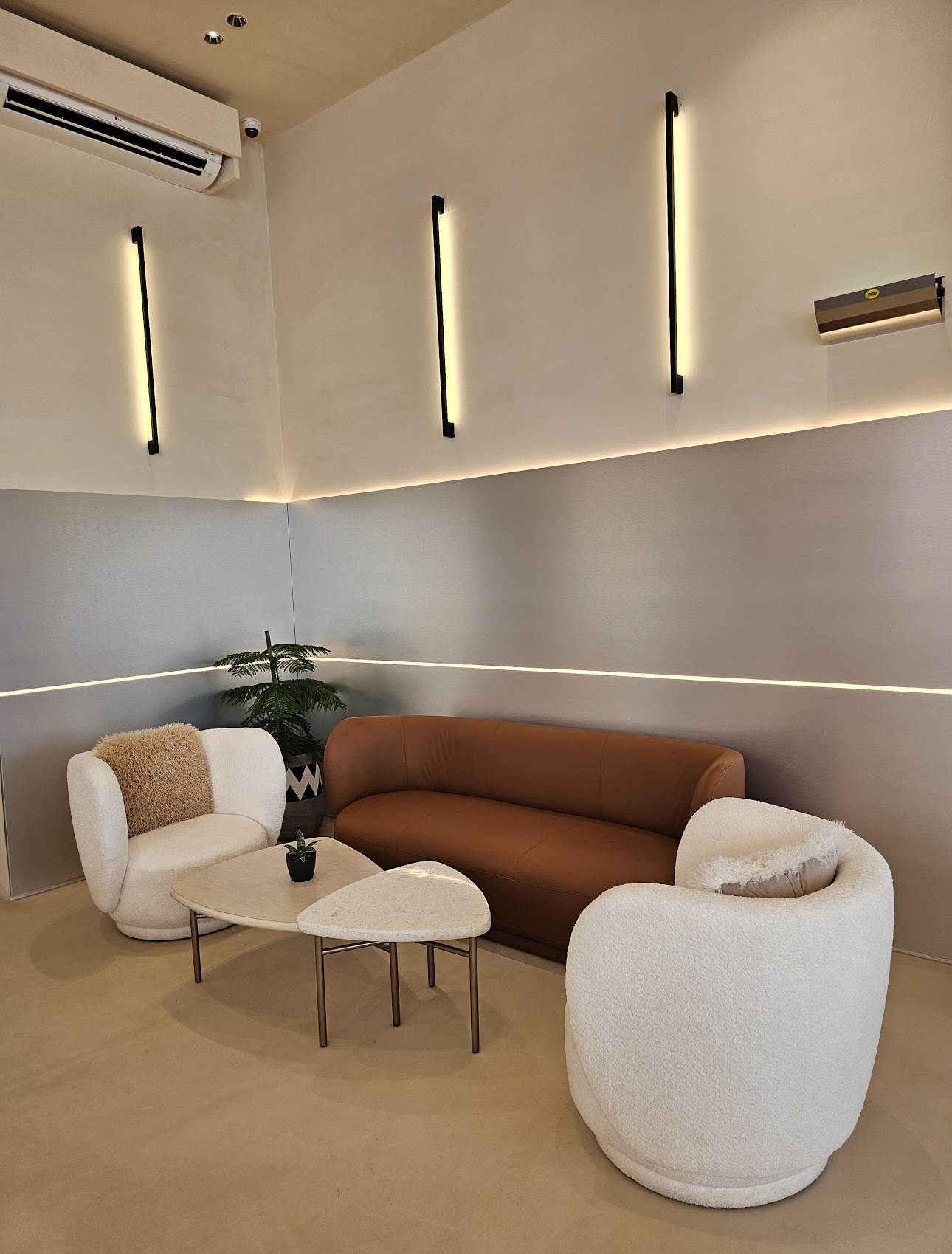 فولاري gallery